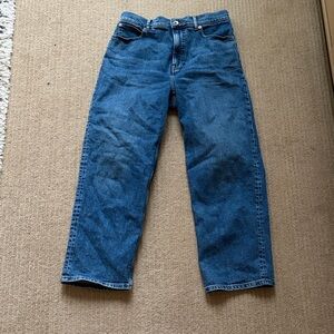 Everlane The Way-High Jean, 29, , Medium Washed Blue